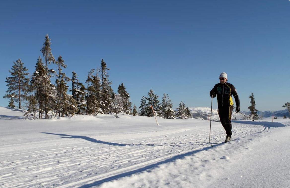 Norbel Hytte Norway Vradal Kültér fotó