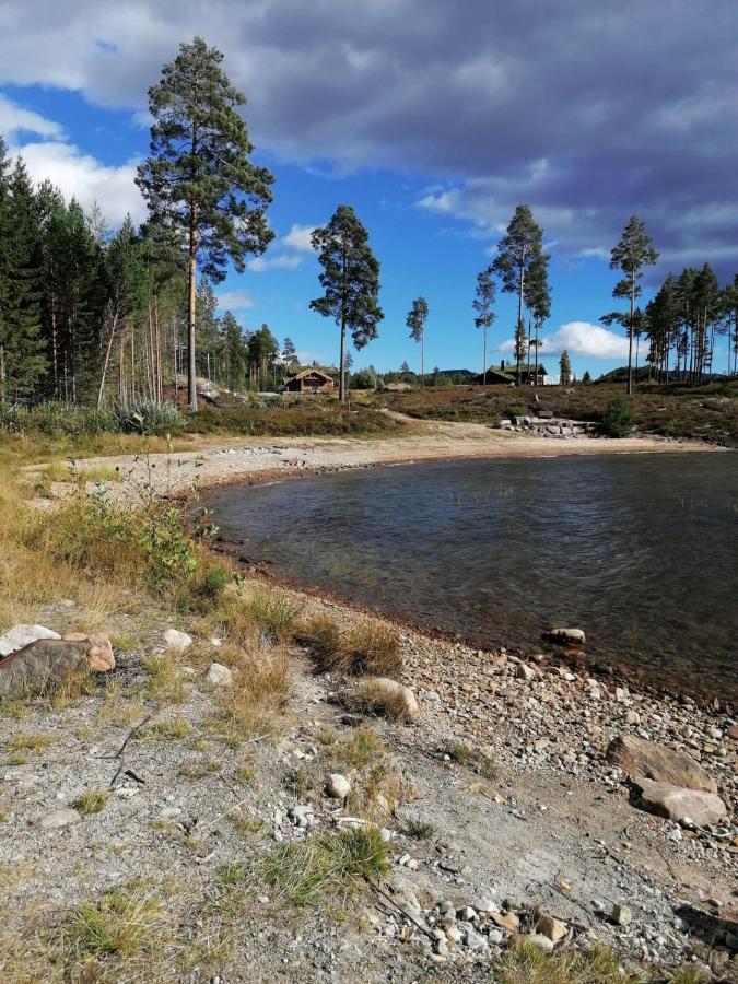 Norbel Hytte Norway Vradal Kültér fotó